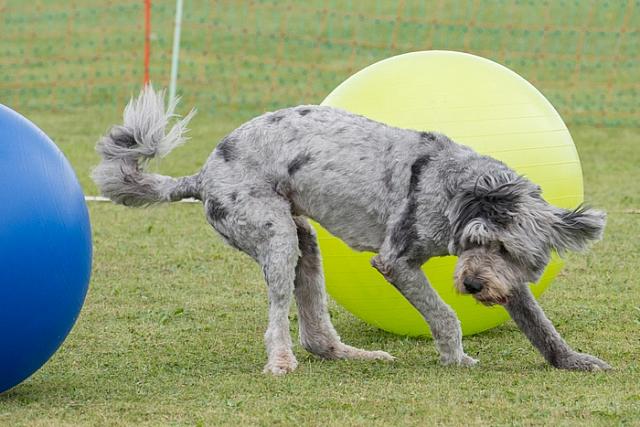 2012-09-01-TreibballTurnier 287