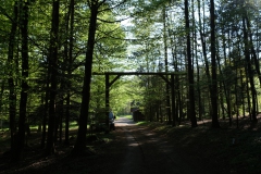 DSCF0626