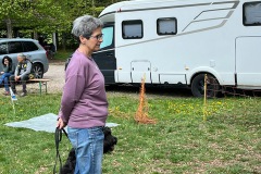 IMG_7013
