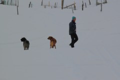 IMG_0104