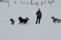 IMG_0105