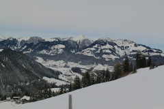 IMG_0107