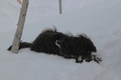 IMG_0108