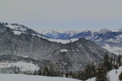 IMG_0109