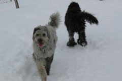 IMG_0111