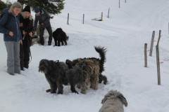 IMG_0114