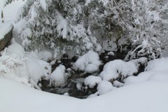 IMG_0120