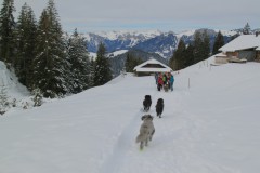 IMG_0123