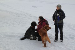 IMG_0129