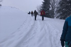 IMG_2816