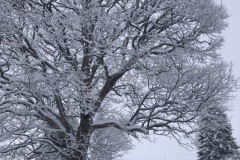 IMG_2857