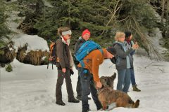Diemtigtal 30.01.2022