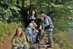 Herbstwanderung Bannwil 2022