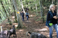 IMG_0899