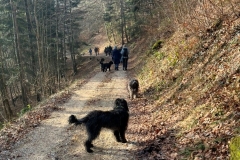 Kopie-Bild12
