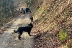 Kopie-Bild13