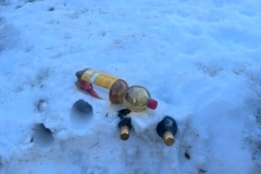 Kopie-Bild15