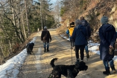 Kopie-Bild4