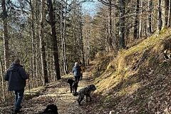 Kopie-Bild6