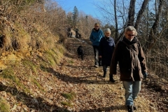 Kopie-Bild8