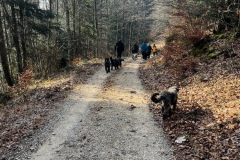 Kopie-Bild9