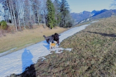 Zweifel_4
