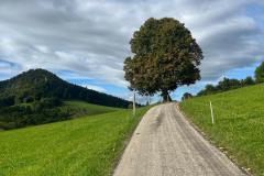 IMG_1822a