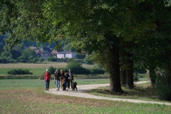DSCF0567