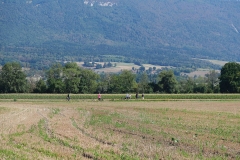 DSCF0590