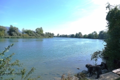DSCF0602