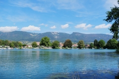 DSCF0626