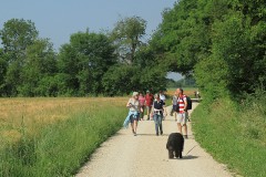 Wanderplausch  Arch 15.06.2025