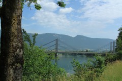 IMG_0267