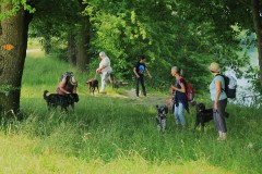 IMG_0271