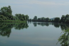 IMG_0277