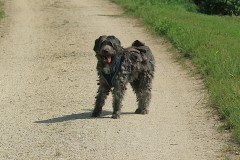 IMG_0281