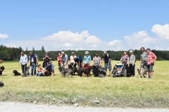 Junibummel Zauggenried 04.06.2023